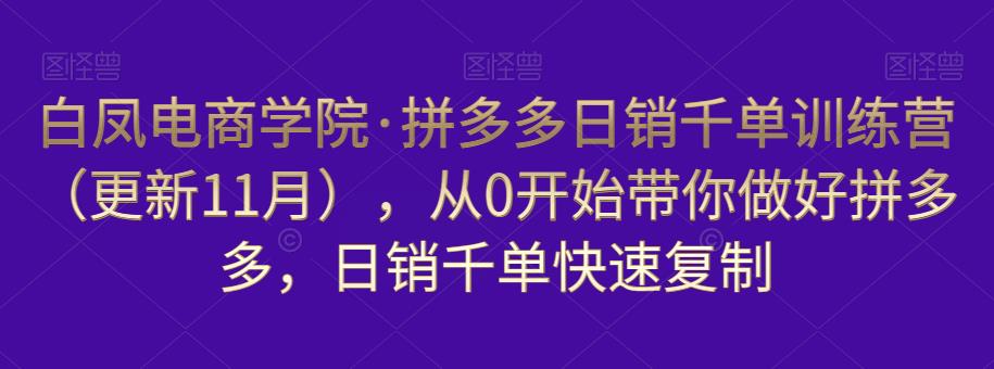 白凤电商学院·拼多多日销千单训练营，从0开始带你做好拼多多，日销千单快速复制（更新知2023年3月）-逐浪前行