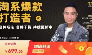 锋投老叶全店动销,淘系干货汇总,各种玩法,淘系爆款打造者-逐浪前行