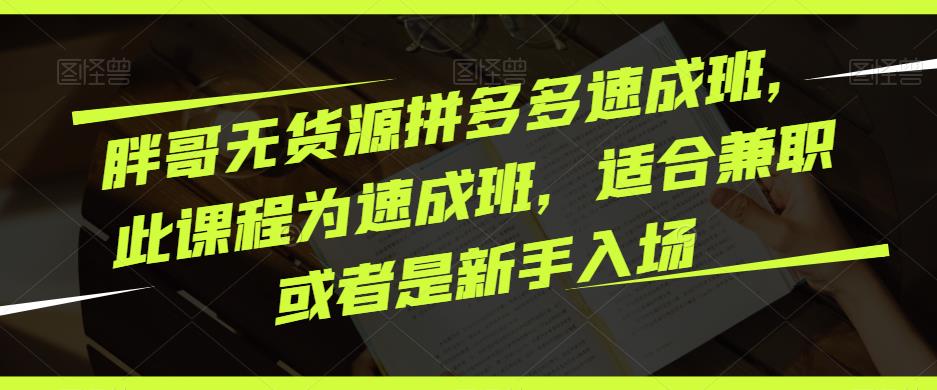 胖哥无货源拼多多速成班，此课程为速成班，适合兼职或者是新手入场-逐浪前行