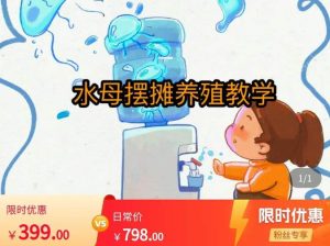 水母摆摊教学，包括摆摊技术、养殖技术、拿货渠道、抖音运营等-逐浪前行