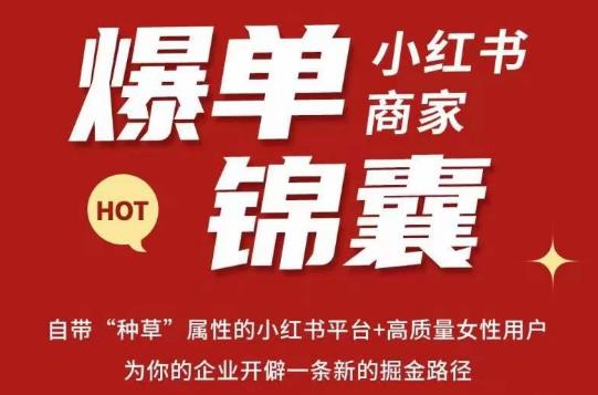 无畏·小红书商家爆单锦囊，掌握小红书各大规则，快速精准抢占行业和市场-逐浪前行