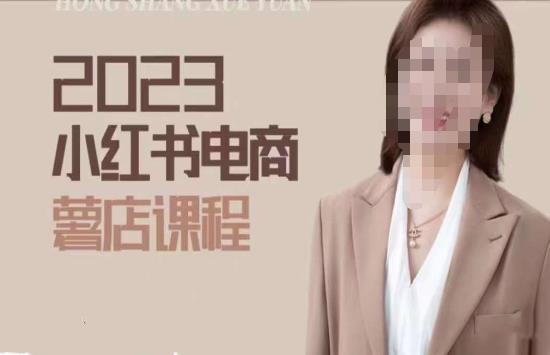 2023小红书电商课，新手小白从0~1玩转小红书薯店电商-逐浪前行