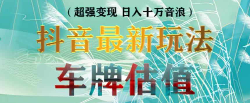 抖音最新无人直播变现直播车牌估值玩法项目，轻松日赚几百+【详细玩法教程】-逐浪前行