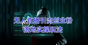 外面收费3980的无人直播引流创业粉落地实操玩法，单日引100+精准创业粉-逐浪前行
