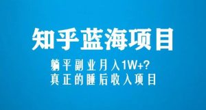 知乎蓝海玩法,躺平副业月入1W+,真正的睡后收入项目(6节视频课)-逐浪前行