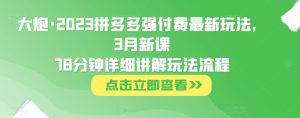 大炮·2023拼多多强付费最新玩法，3月新课​78分钟详细讲解玩法流程-逐浪前行