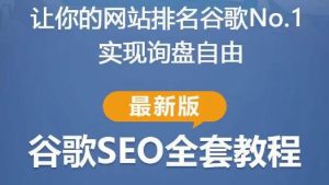 谷歌SEO实战教程:如何让你的网站在谷歌排名第一,内容从入门到高阶,适合个人及团队-逐浪前行