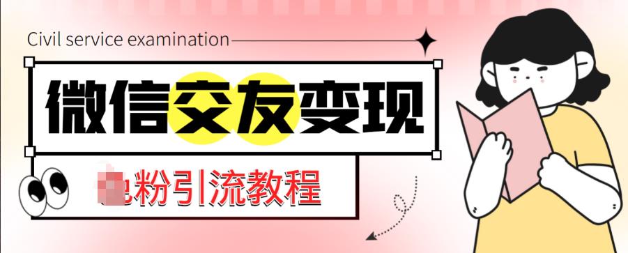 微信交友变现项目，吸引全网LSP男粉精准变现，小白也能轻松上手，日入500+-逐浪前行