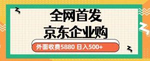 3月最新京东企业购教程,小白可做单人日利润500+撸货项目(仅揭秘)-逐浪前行