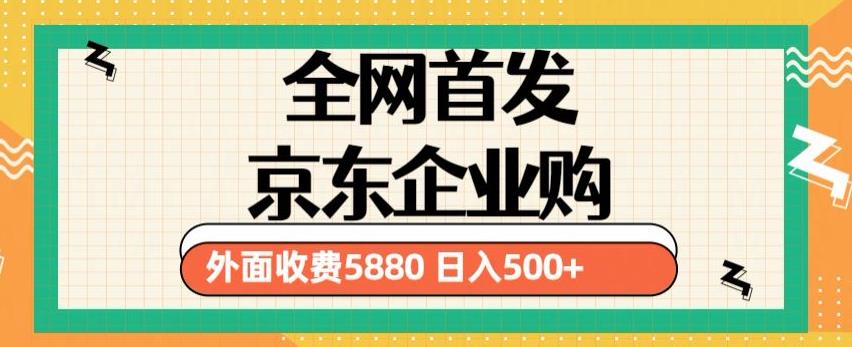3月最新京东企业购教程，小白可做单人日利润500+撸货项目（仅揭秘）-逐浪前行