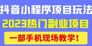 抖音小程序9.0新技巧,2023热门副业项目,动动手指轻松变现-逐浪前行