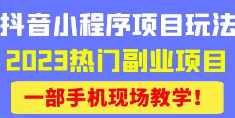 抖音小程序9.0新技巧，2023热门副业项目，动动手指轻松变现-逐浪前行