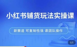 小红书铺货玩法实操课,流量大,竞争小,非常好做,新赛道,可复制性强,可团队操作-逐浪前行