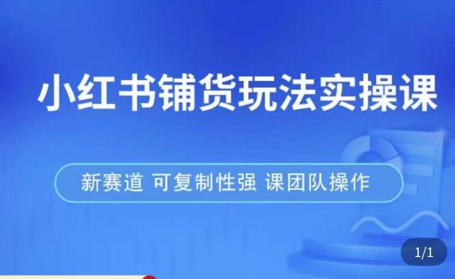 小红书铺货玩法实操课，流量大，竞争小，非常好做，新赛道，可复制性强，可团队操作-逐浪前行