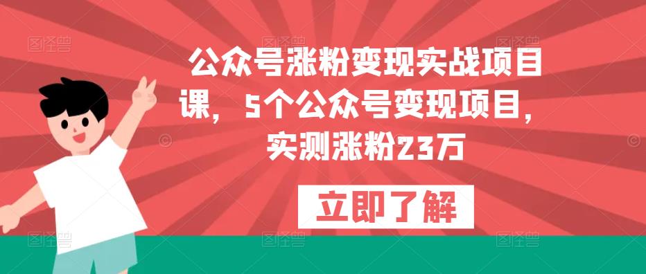 公众号涨粉变现实战项目课，5个公众号变现项目，实测涨粉23万-逐浪前行