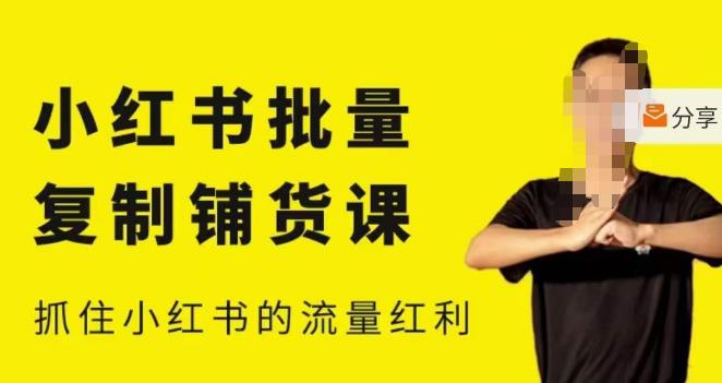 张宾·小红书批量复制铺货课，小红书0-1快速起号变现玩法，抓住小红书的流量红利（更新2023年3月）-逐浪前行