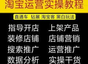2023淘宝开店教程0基础到高级全套视频网店电商运营培训教学课程-逐浪前行