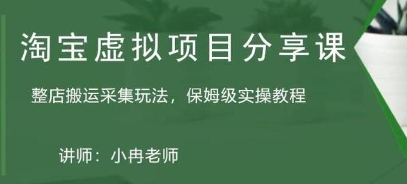 淘宝虚拟整店搬运采集玩法分享课：整店搬运采集玩法，保姆级实操教程-逐浪前行