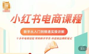 小红书电商新手入门到精通实操课,从入门到精通做爆款笔记,开店运营-逐浪前行