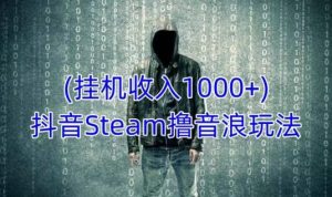 抖音Steam撸音浪玩法,挂机一天收入1000+不露脸 不说话 不封号 社恐人群福音-逐浪前行