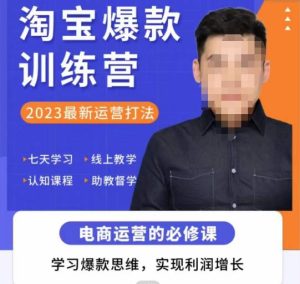 爱上黄昏·淘宝爆款训练营,2023最新运营打法,学习爆款思维,实现利润增长-逐浪前行