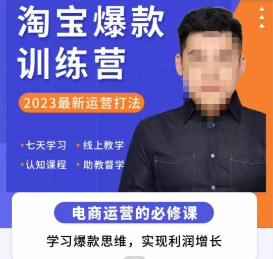 爱上黄昏·淘宝爆款训练营，2023最新运营打法，学习爆款思维，实现利润增长-逐浪前行