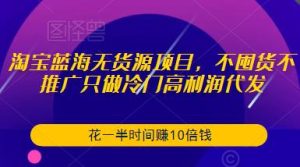 淘宝蓝海无货源项目,不囤货不推广只做冷门高利润代发,花一半时间赚10倍钱-逐浪前行