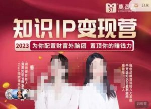 鹿盈盈-知识IP变现实操营,普通人可复制的知识产品落地实操课,带你打通知识IP变现底层逻辑-逐浪前行