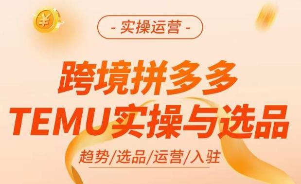 跨境拼多多TEMU实操与选品，​掌握平台运营方法技巧，选品避坑12条标准，爆款的底层思路等-逐浪前行