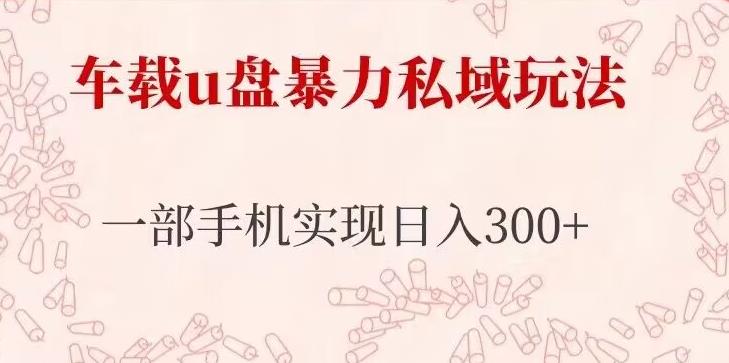 车载u盘暴力私域玩法，长期项目，仅需一部手机实现日入300+-逐浪前行