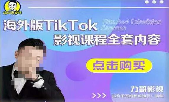 海外TikTok影视课程全套，从搭建渠道，到如何正确使用账号，到未来的变现渠道等-逐浪前行