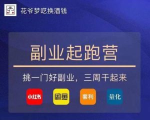 花爷-副业起跑营第2期,挑一门好副业,三周干起来(闲鱼|小红书|量化|套利)-逐浪前行