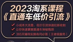 2023直通车低价引流玩法课程，小成本大流量，低价引流快速拉新收割，让你快速掌握直通车突破瓶颈-逐浪前行