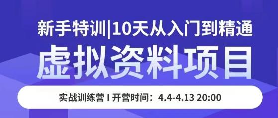虚拟资料项目新手特训，10天从入门到精通，保姆级实操教学-逐浪前行
