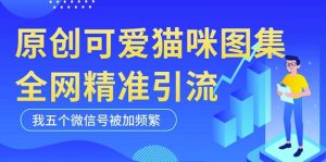 黑科技纯原创可爱猫咪图片,全网精准引流,实操5个VX号被加频繁-逐浪前行