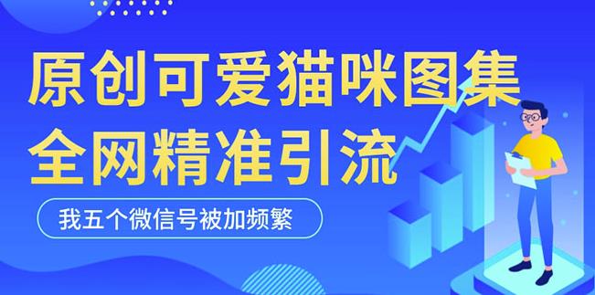 黑科技纯原创可爱猫咪图片，全网精准引流，实操5个VX号被加频繁-逐浪前行