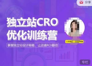 独立站CRO优化训练营，掌握独立站设计秘籍，打造高转化的独立站，让店铺ROI翻倍-逐浪前行