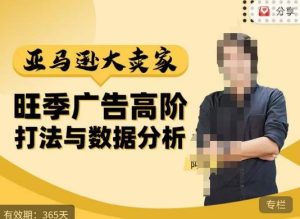 阿甘·亚马逊大卖家广告高阶打法与数据分析,走出传统广告误区;揭秘大卖惯用打法;数据驱动广告决策-逐浪前行
