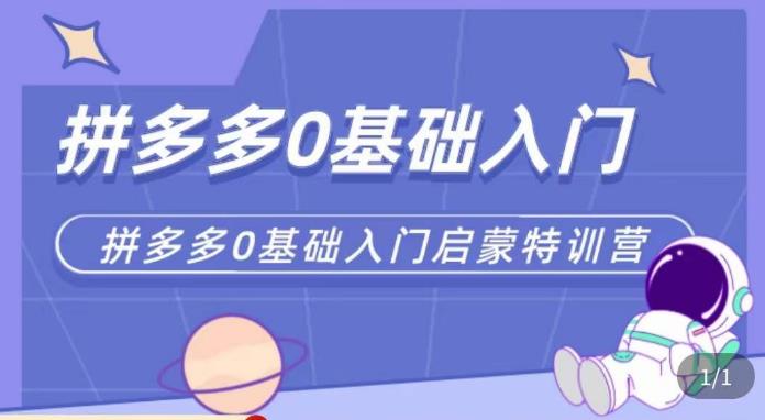 六一电商·拼多多运营0-1实操特训营，拼多多从基础到进阶的可实操玩法-逐浪前行