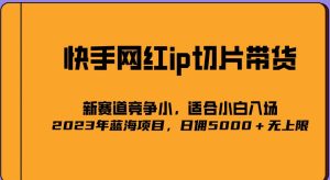 2023爆火的快手网红IP切片，号称日佣5000＋的蓝海项目，二驴的独家授权-逐浪前行