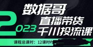 数据哥2023直播电商巨量千川付费投流实操课,快速掌握直播带货运营投放策略-逐浪前行