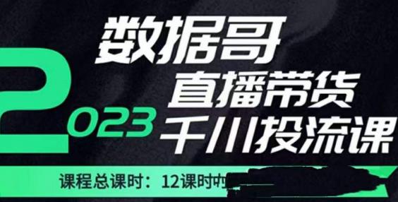 数据哥2023直播电商巨量千川付费投流实操课，快速掌握直播带货运营投放策略-逐浪前行