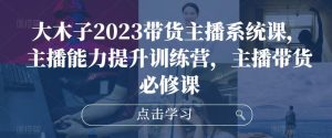 大木子2023带货主播系统课,主播能力提升训练营,主播带货必修课-逐浪前行