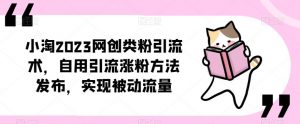 小淘2023网创类粉引流术,自用引流涨粉方法发布,实现被动流量-逐浪前行