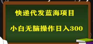 2023最新蓝海快递代发项目,小白零成本照抄也能日入300+-逐浪前行