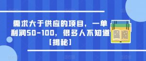需求大于供应的项目,一单利润50-100,很多人不知道【揭秘】-逐浪前行