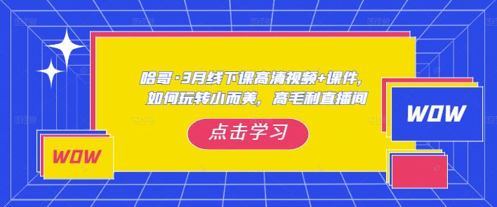 哈哥·3月线下实操课高清视频+课件，如何玩转小而美，高毛利直播间-逐浪前行