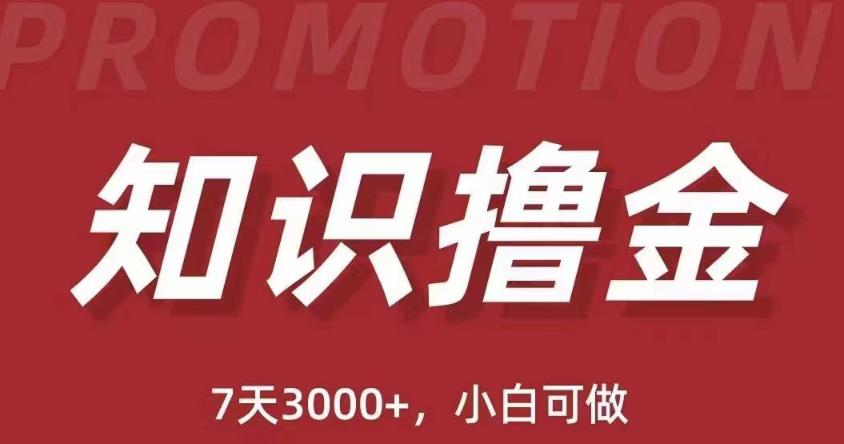 抖音知识撸金项目：简单粗暴日入1000+执行力强当天见收益(教程+资料)-逐浪前行
