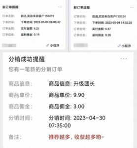 快递代发CPS,月入万元,不起眼却很赚钱的信息差项目【揭秘】-逐浪前行