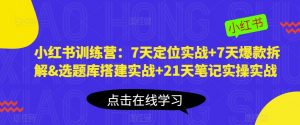 小红书训练营：7天定位实战+7天爆款拆解&选题库搭建实战+21天笔记实操实战-逐浪前行